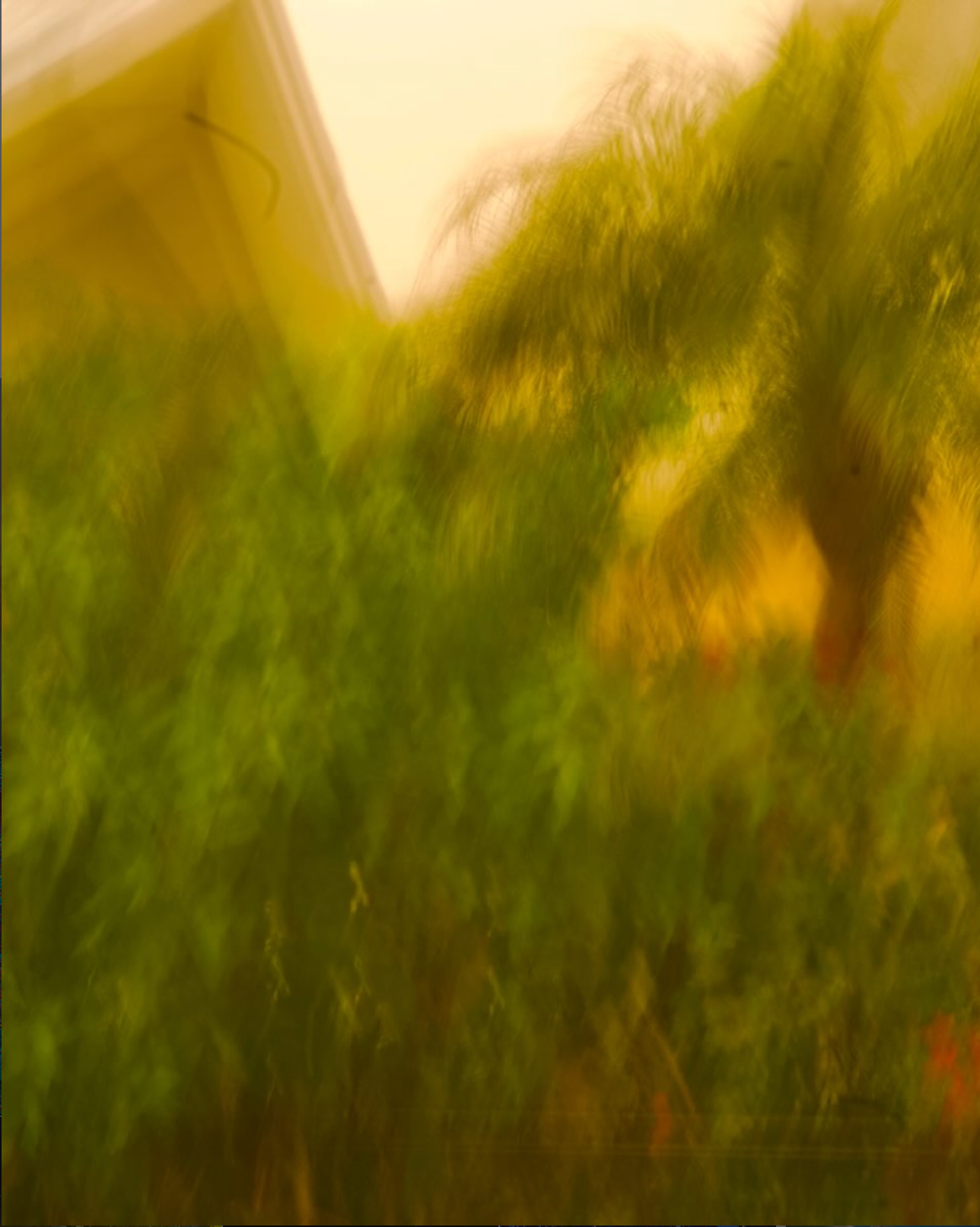 Untitled XI — Archival pigment print, 2022